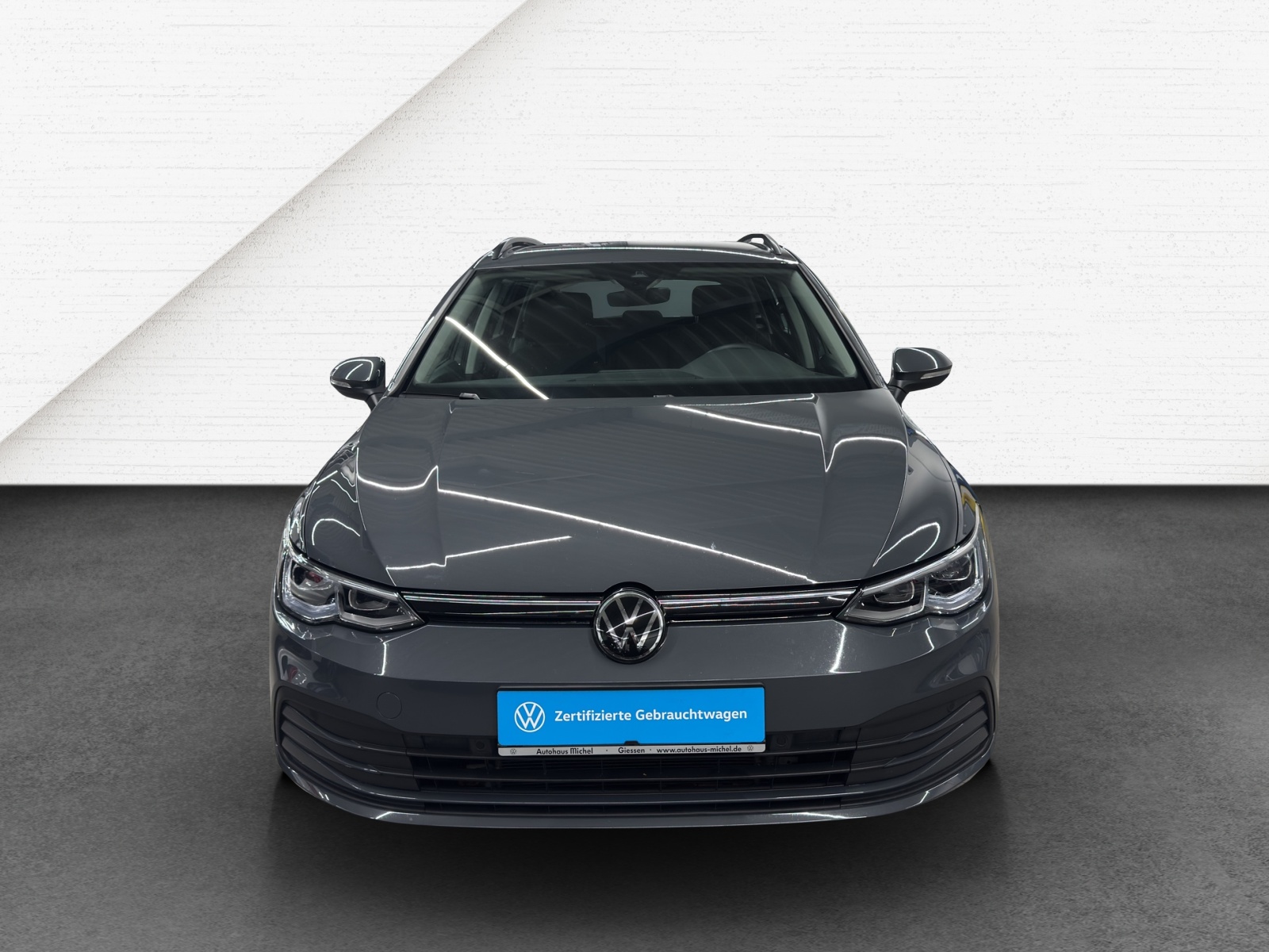 Golf 8 Variant TDI DSG Life ErgoActive TravelAssist