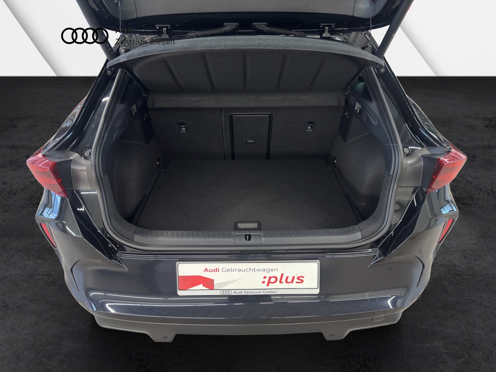 Formentor 1.5 eTSI DSG EDGE Rückfahrkamera ACC LED