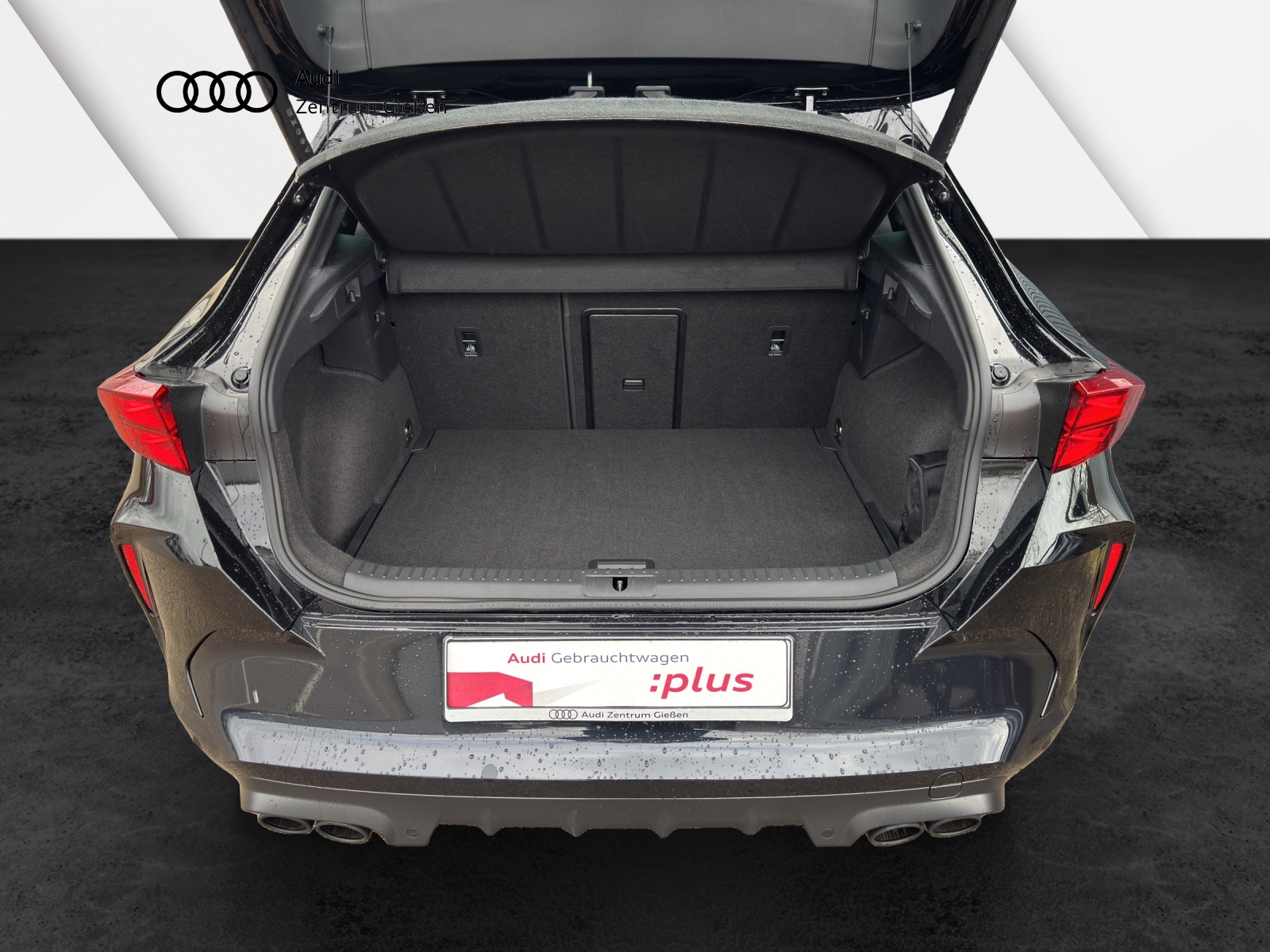 Formentor 2.0 TSI 4Drive VZ Pano Matrix Navi ACC DCC