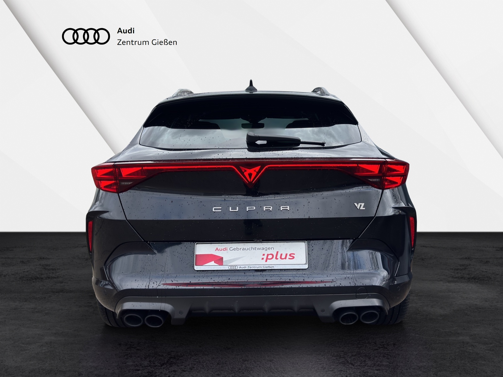 Formentor 2.0 TSI 4Drive VZ Pano Matrix Navi ACC DCC