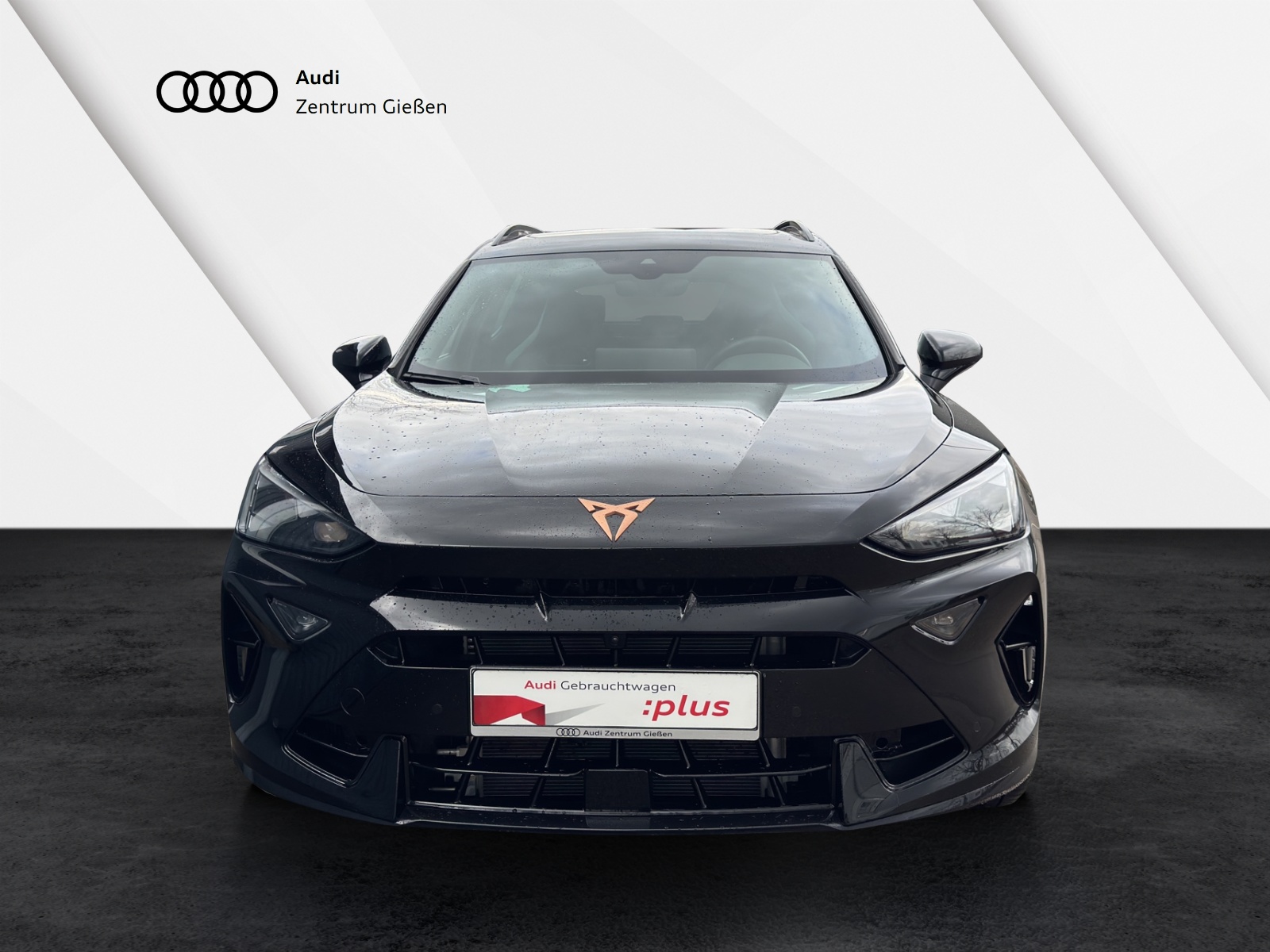 Formentor 2.0 TSI 4Drive VZ Pano Matrix Navi ACC DCC