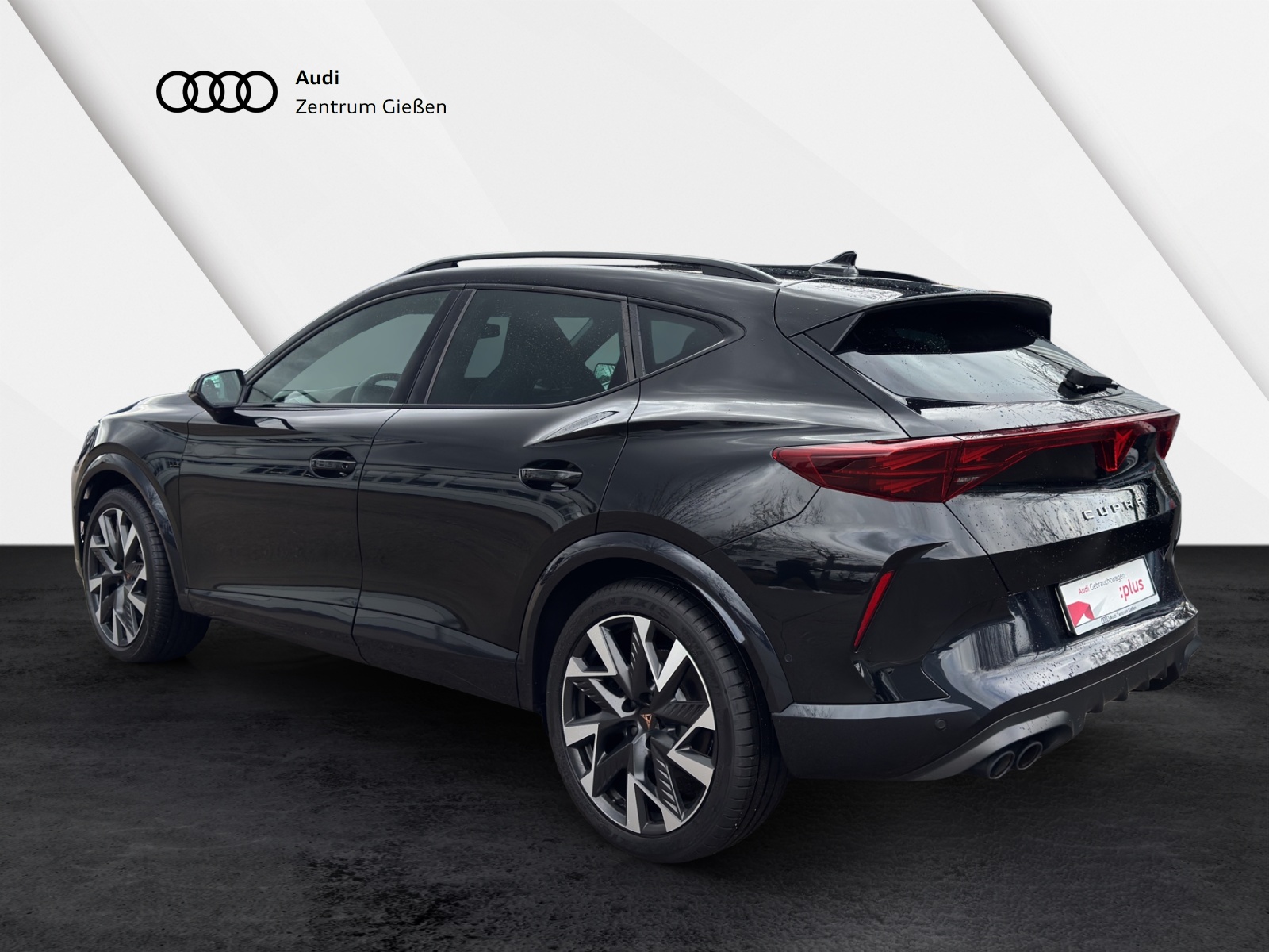 Formentor 2.0 TSI 4Drive VZ Pano Matrix Navi ACC DCC