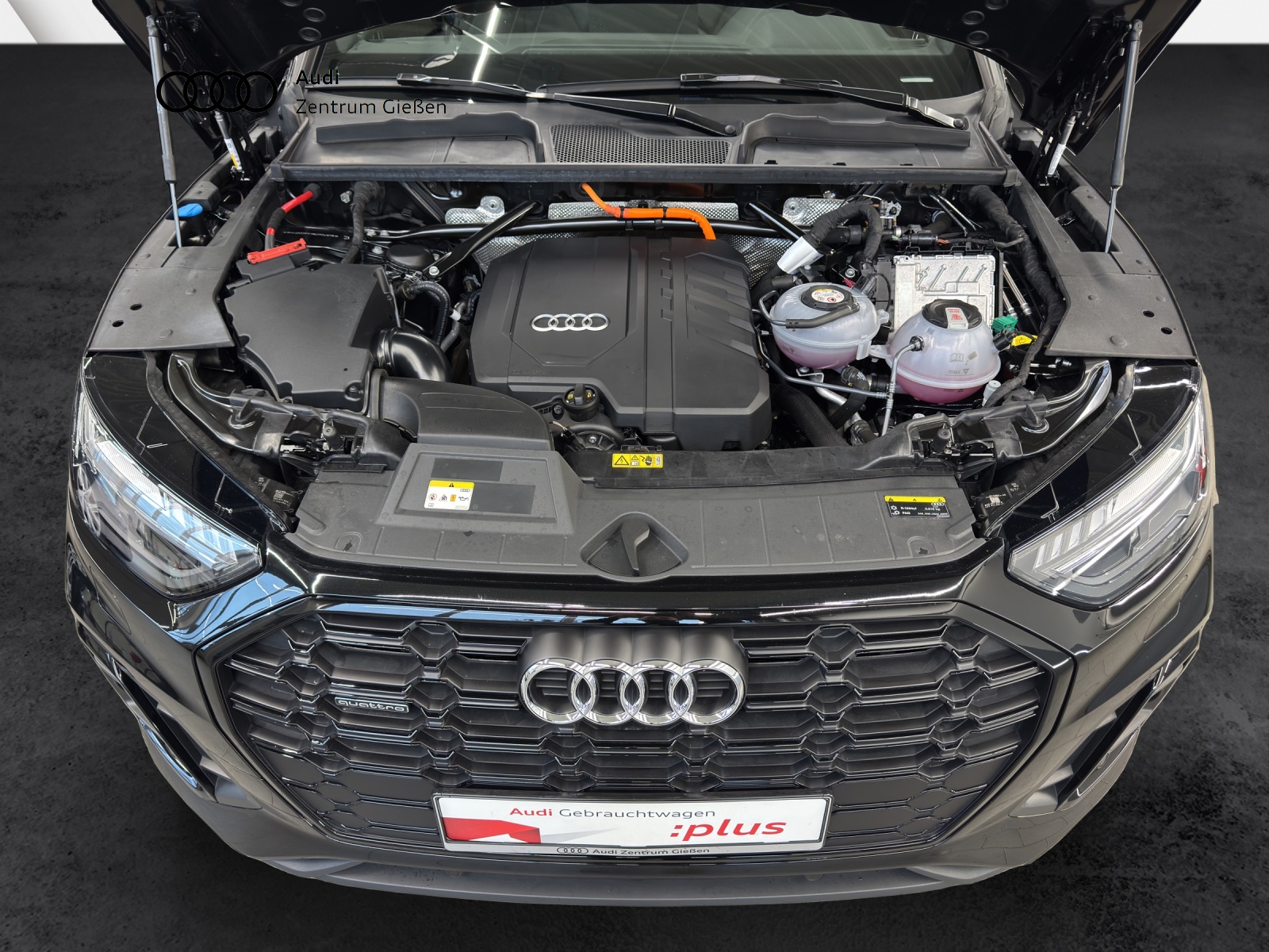Q5 50 TFSI e quattro S line Black Matrix Navi