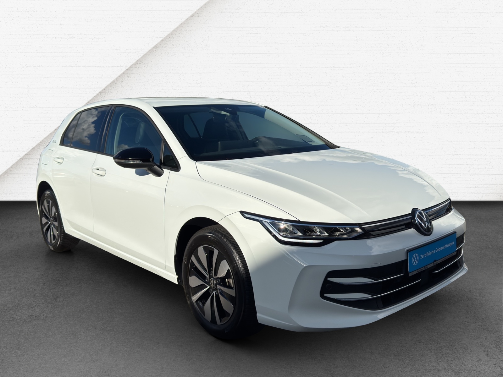 Golf 8 eTSI DSG Goal