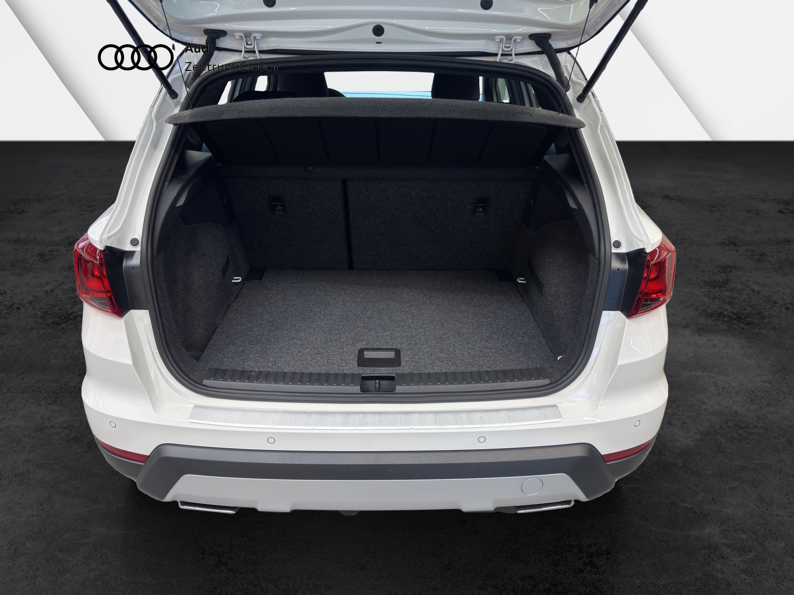 Arona 1.0 TSI DSG FR ACC Navi LED Rückfahrkamera