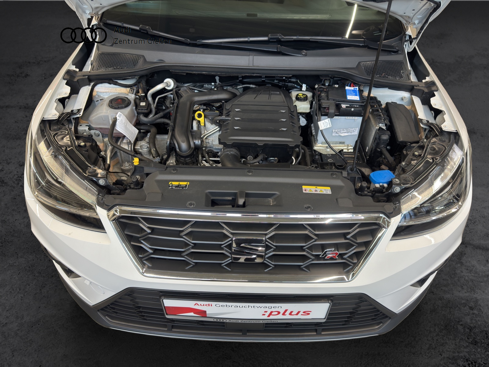 Arona 1.0 TSI DSG FR ACC Navi LED Rückfahrkamera