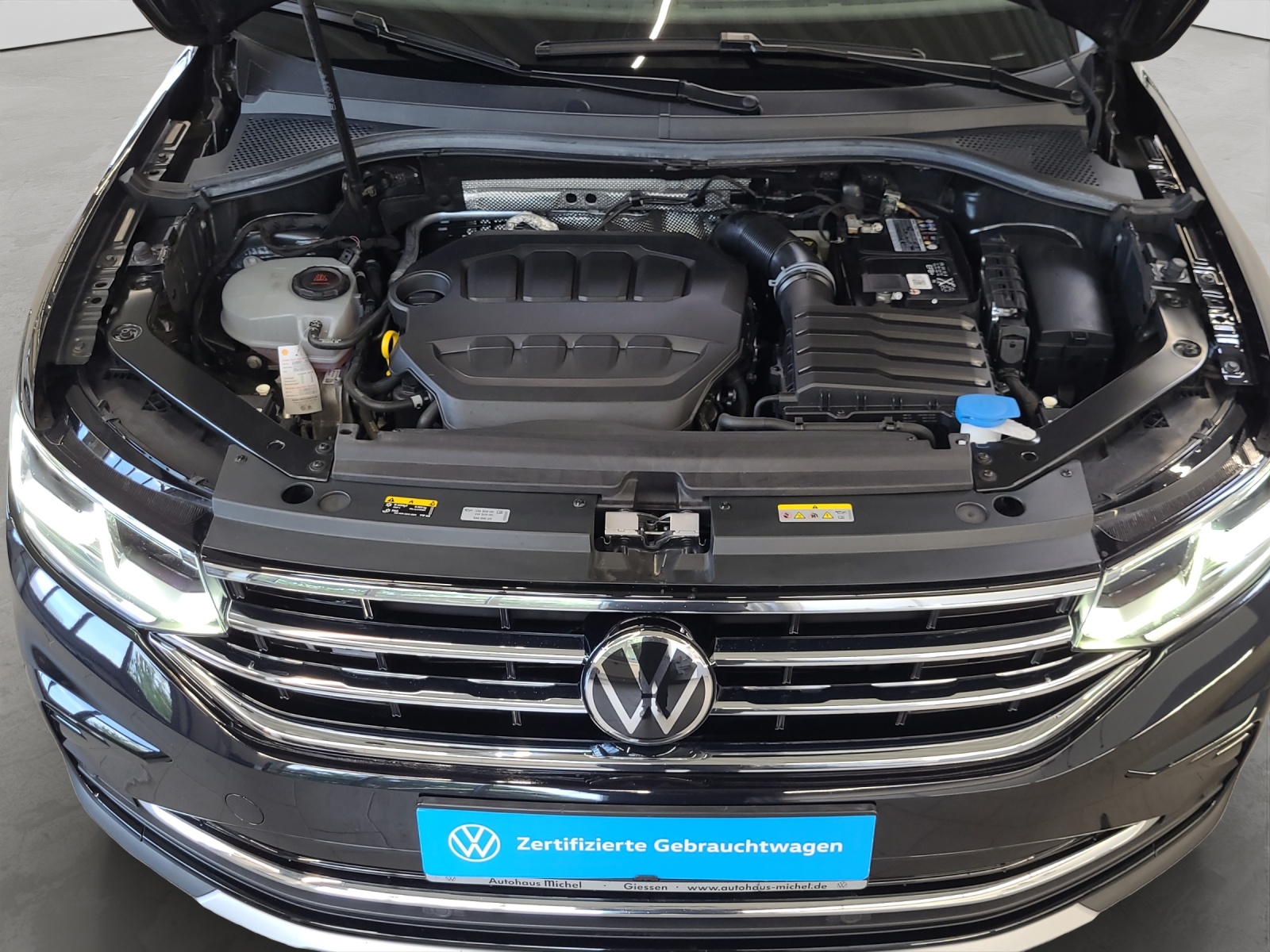 Tiguan TSI DSG 4Motion Elegance Matrix-LED Panodach AHK ACC Navi