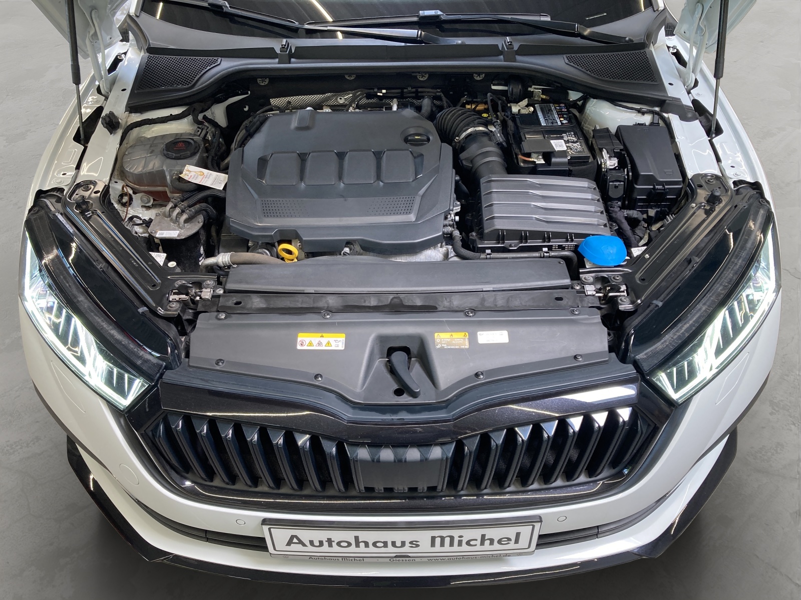 Octavia Combi TDI DSG Sportline LED-Matrix HeadUp Panodach Navi