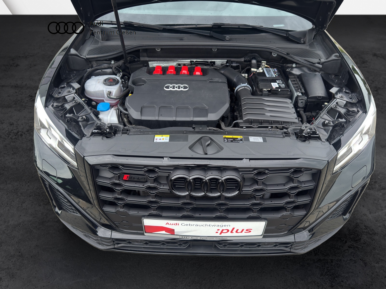 SQ2 2.0 TFSI quattro Black AHK Matrix-LED Assistenzpakete