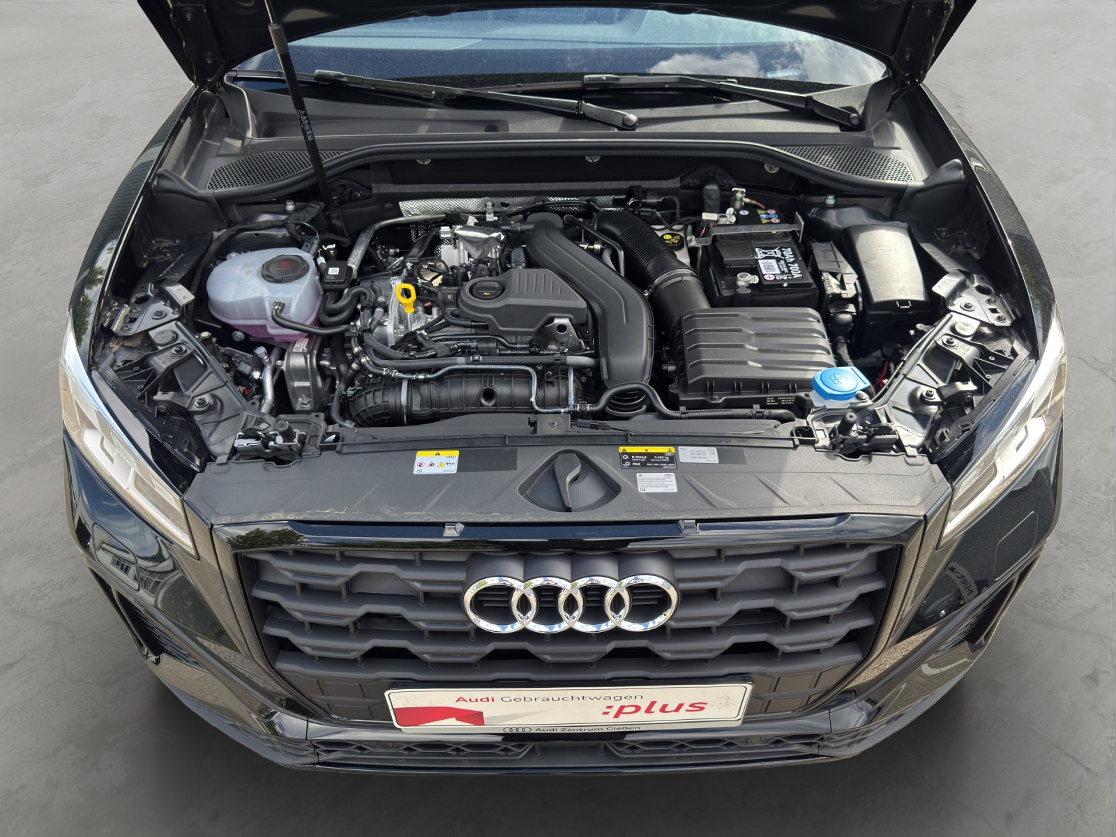Q2 35 TFSI S line Black Matrix-LED Navi Kamera