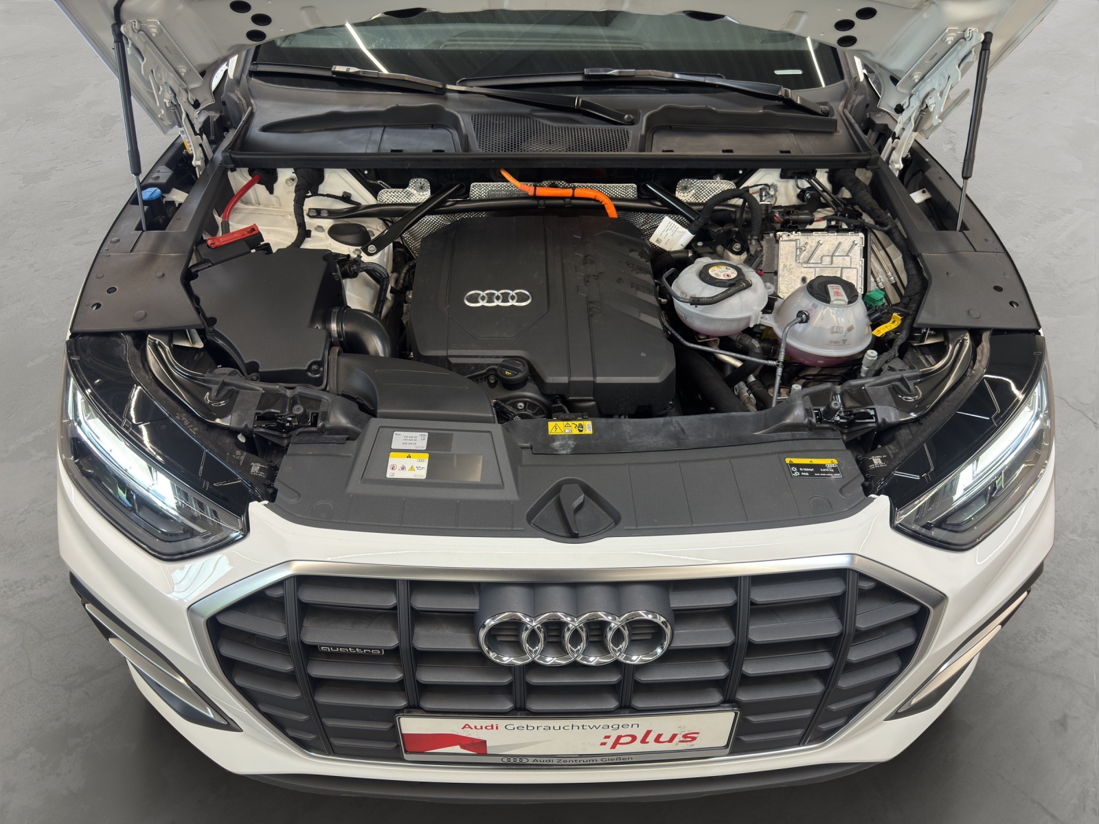 Q5 50 TFSI e quattro Pano Navi Assistenzpaket