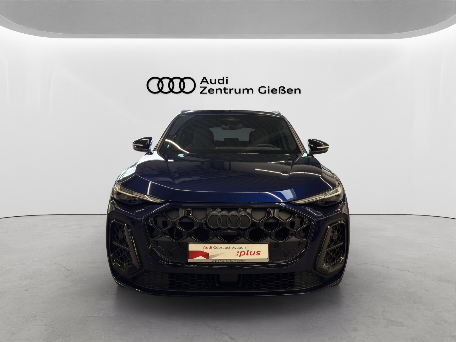 Q5 TFSI quattro S line edition one B&O HuD 360°Kamera Standheizung