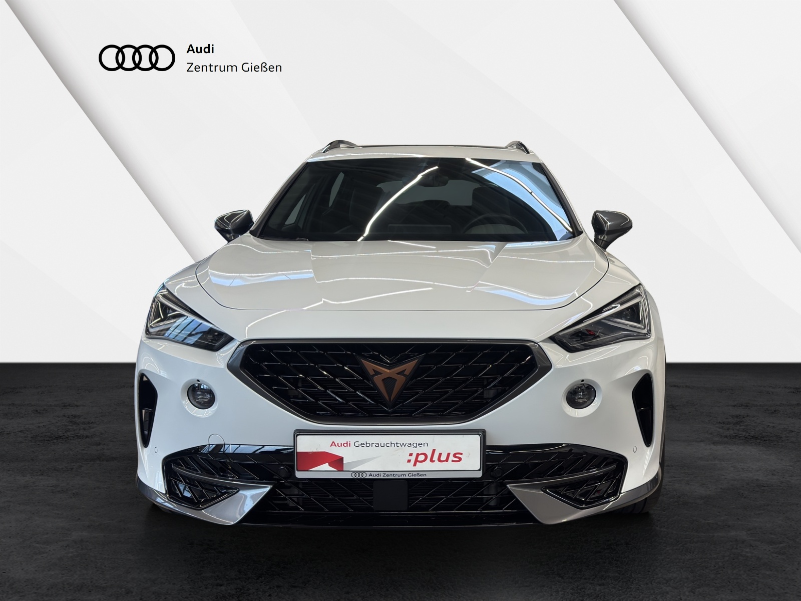 Formentor 2.0 TDI DSG 4Drive AHK Pano Matrix-LED BEATS ACC DCC