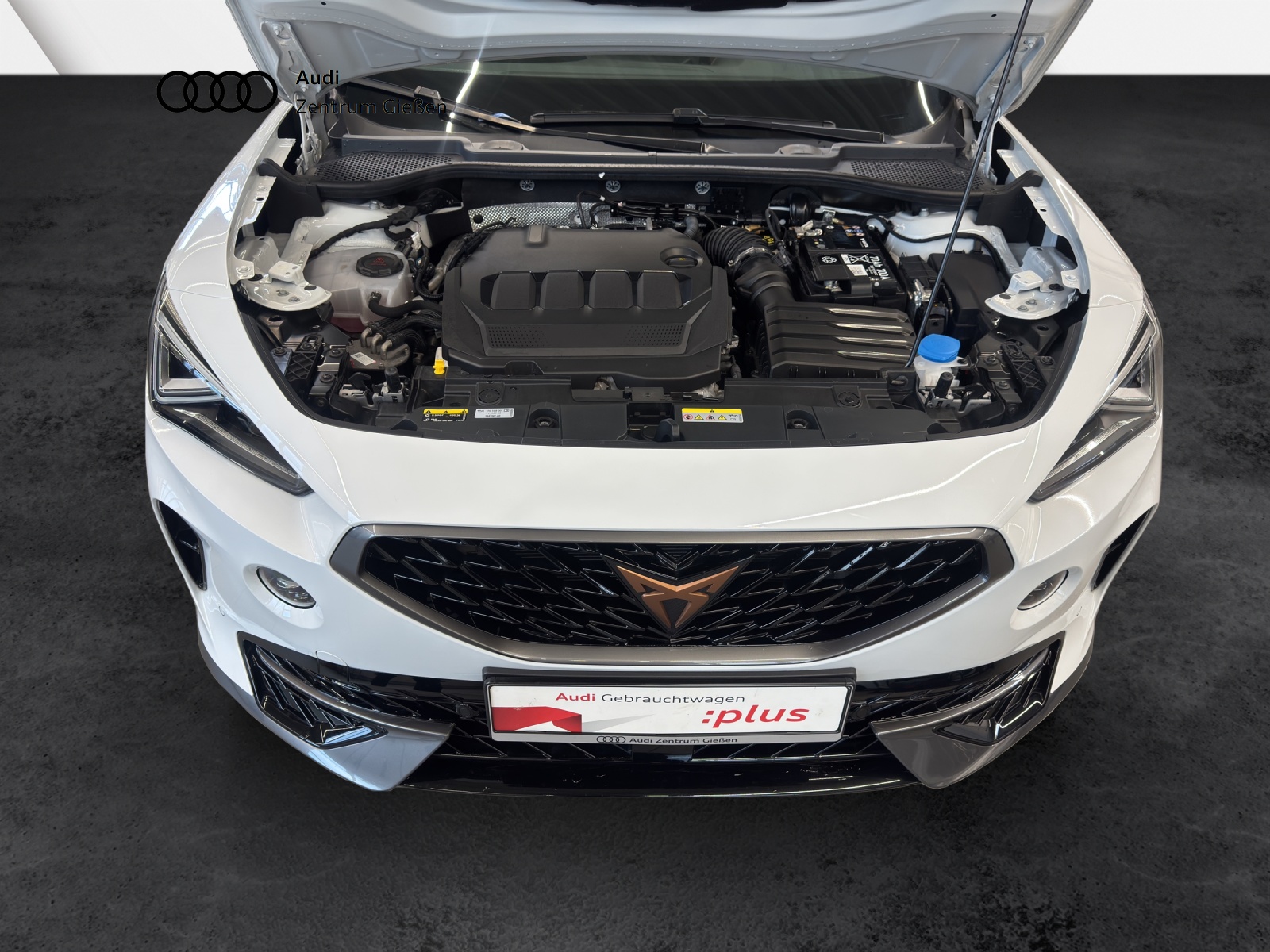 Formentor 2.0 TDI DSG 4Drive AHK Pano Matrix-LED BEATS ACC DCC