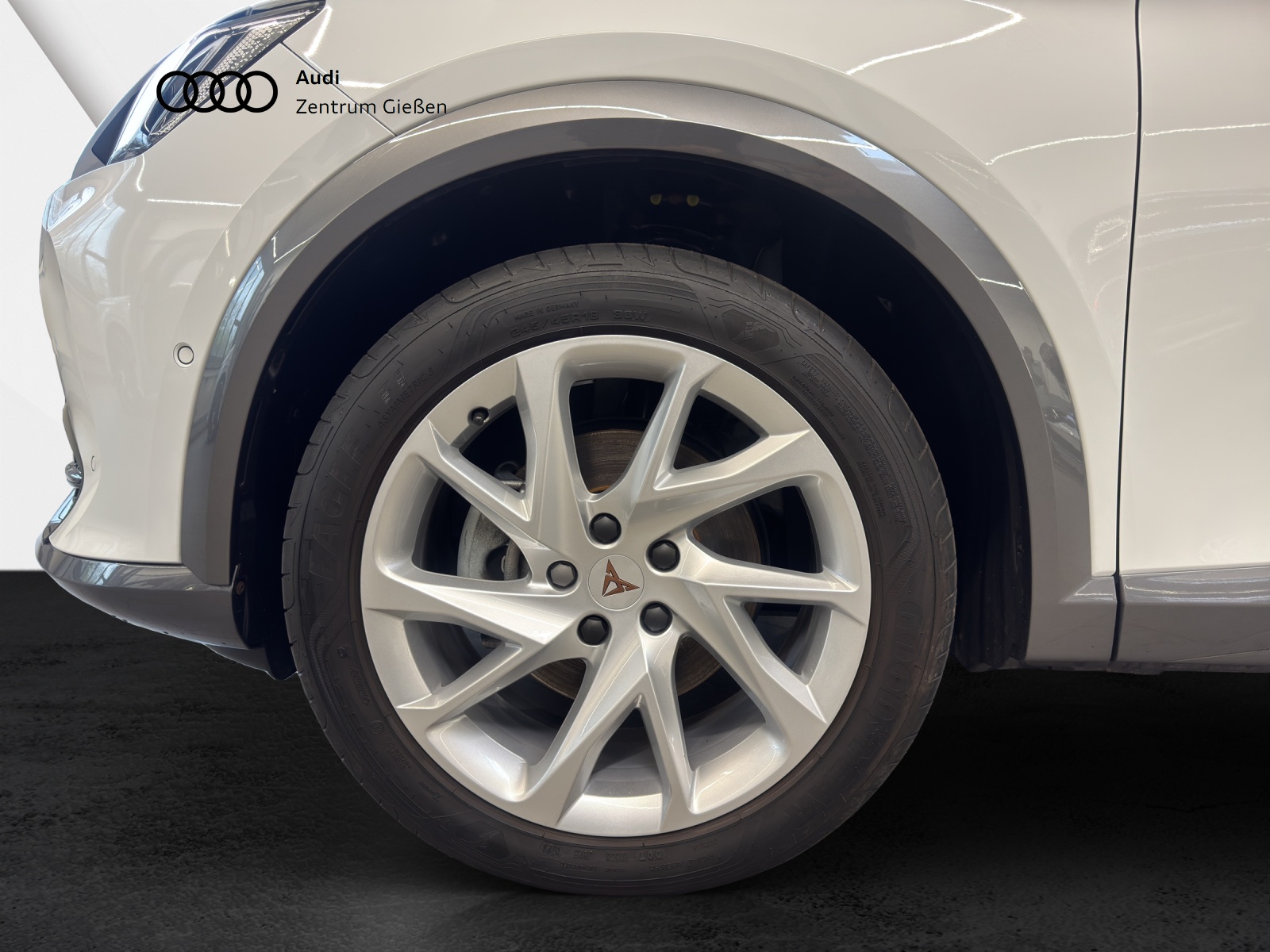 Formentor 2.0 TDI DSG 4Drive AHK Pano Matrix-LED BEATS ACC DCC