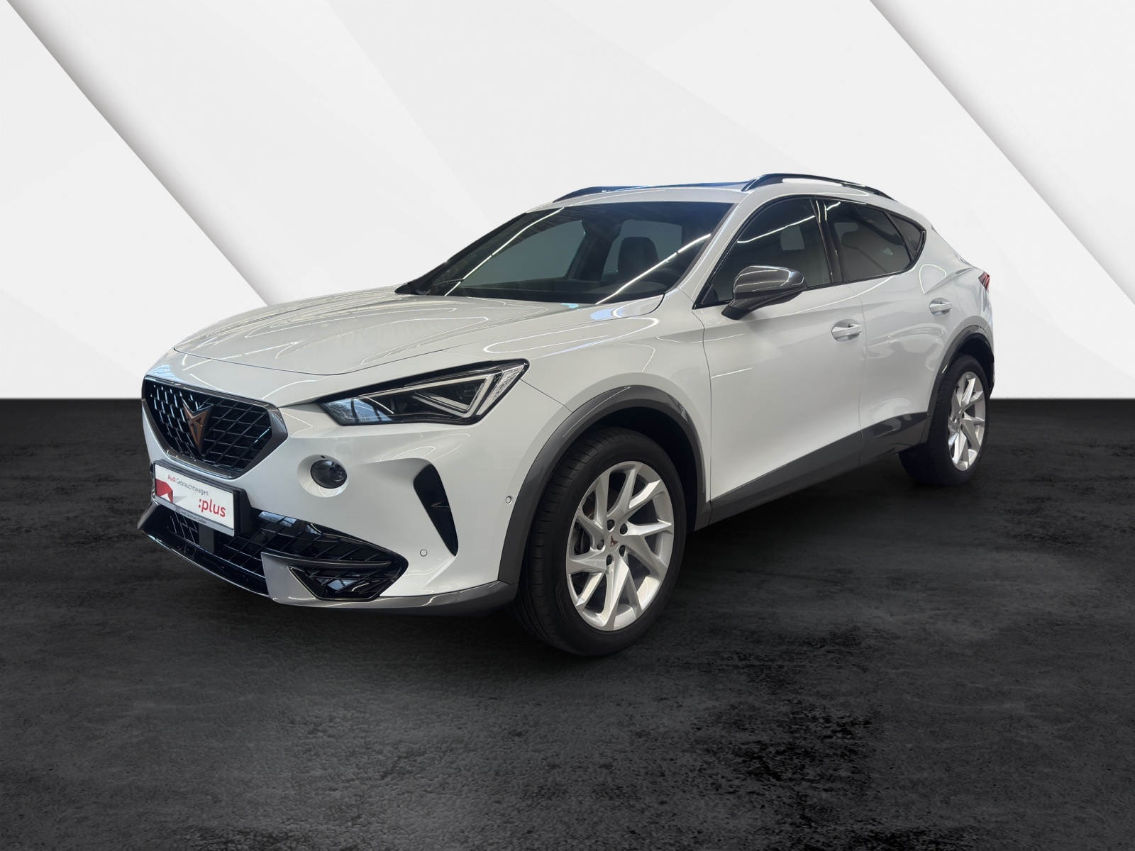 Formentor 2.0 TDI DSG 4Drive AHK Pano Matrix-LED BEATS ACC DCC