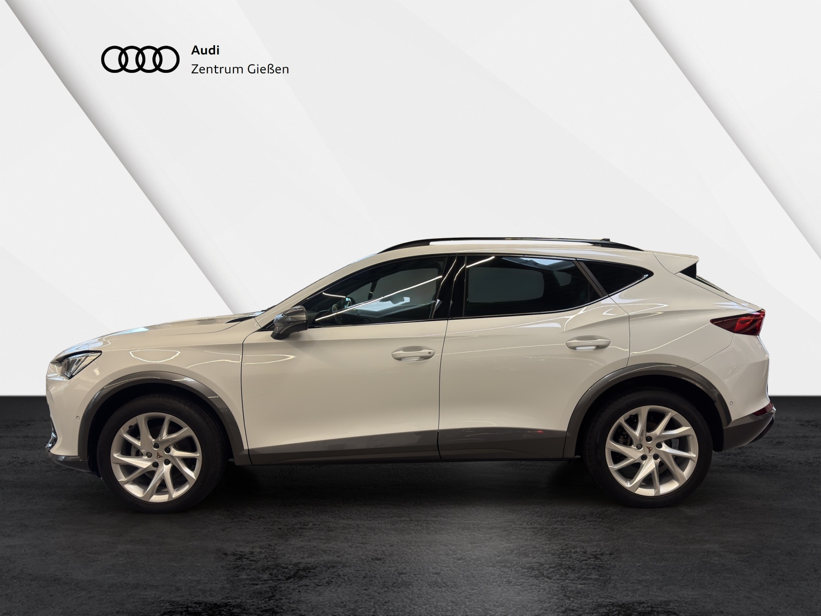 Formentor 2.0 TDI DSG 4Drive AHK Pano Matrix-LED BEATS ACC DCC