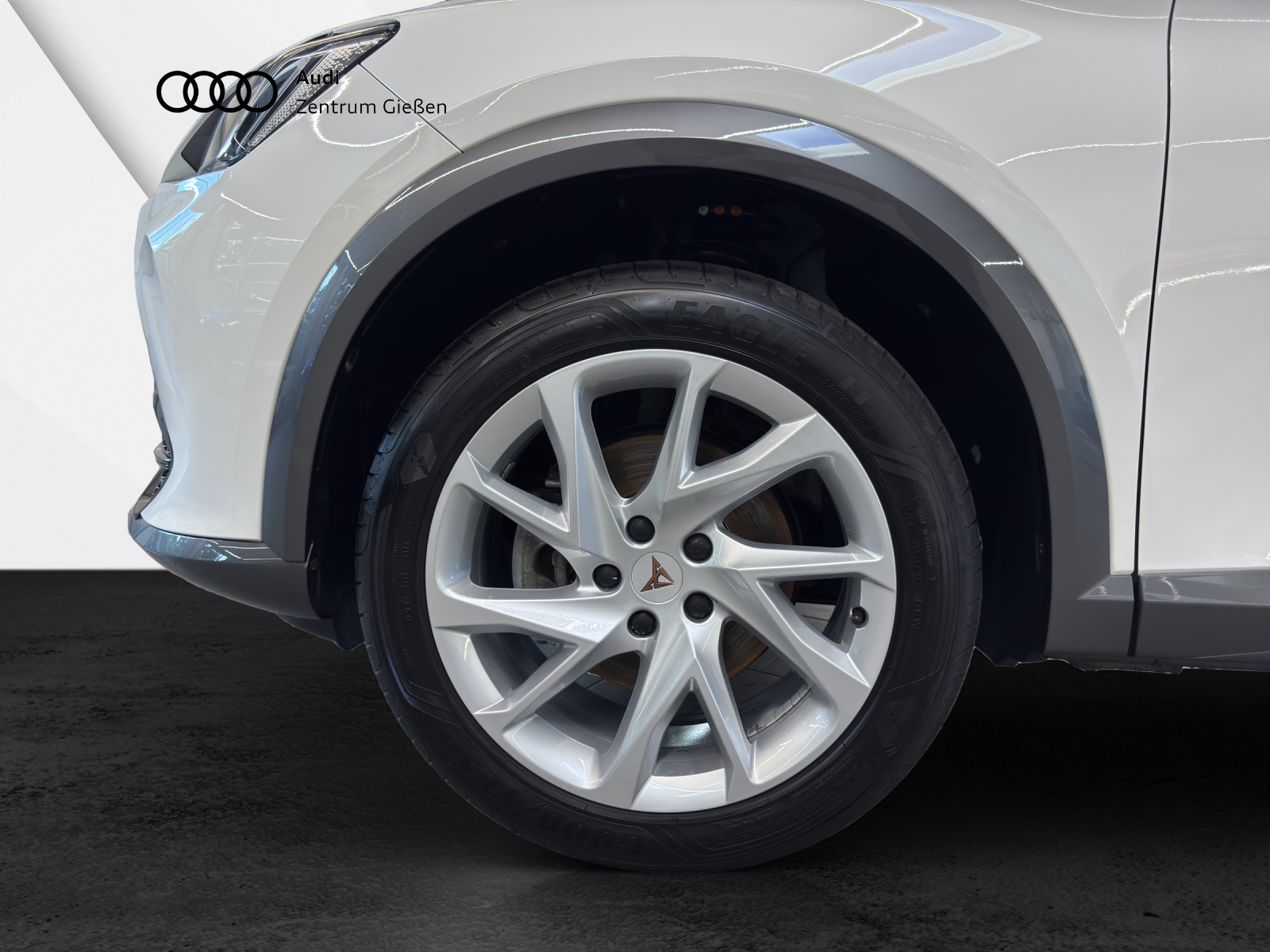 Formentor 1.5 TSI LED ACC Winter Paket