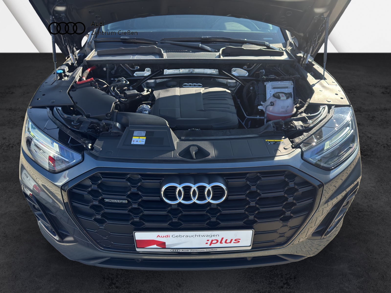 Q5 40 TDI quattro S line Black AHK Kamera Navi Plus