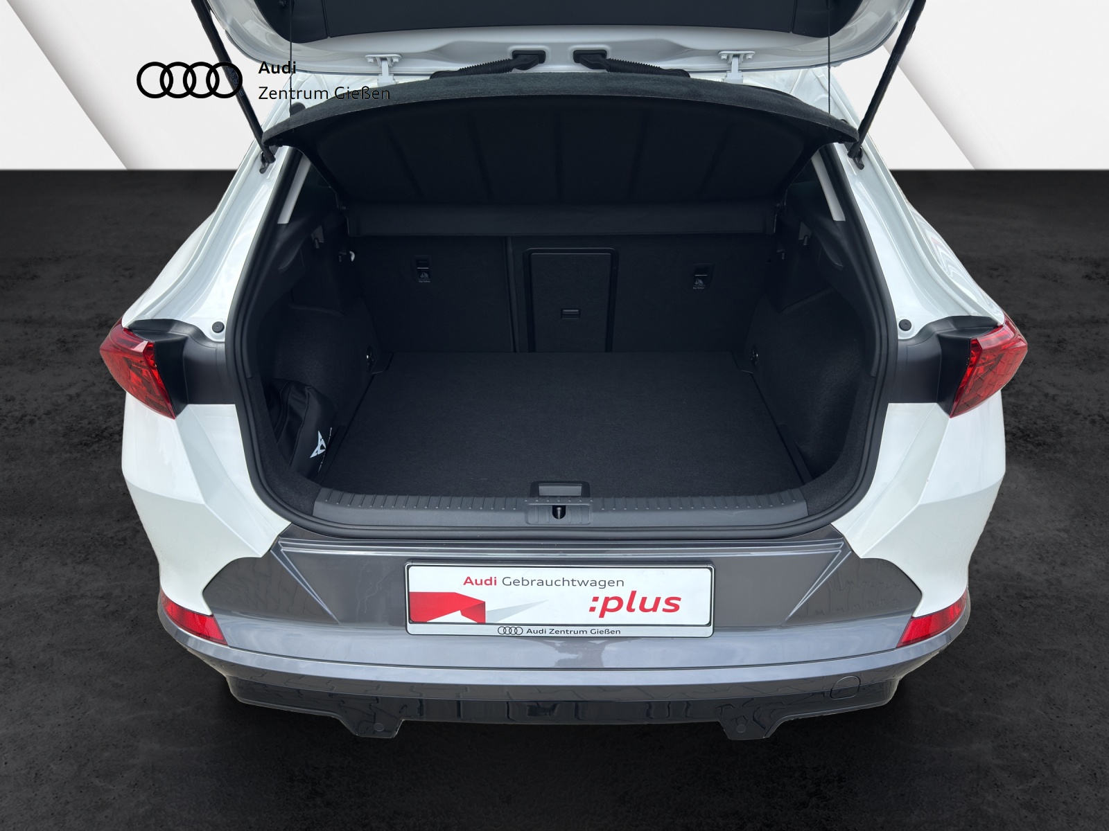 Formentor 1.5 TSI ACC Navi AHK LED