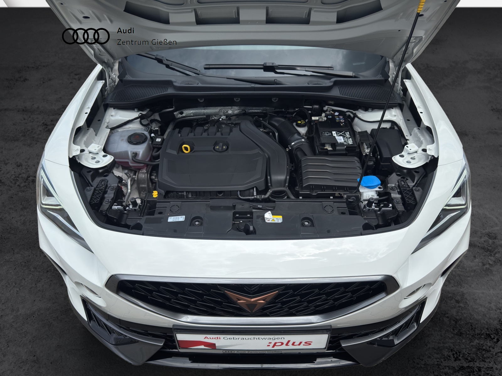 Formentor 1.5 TSI ACC Navi AHK LED