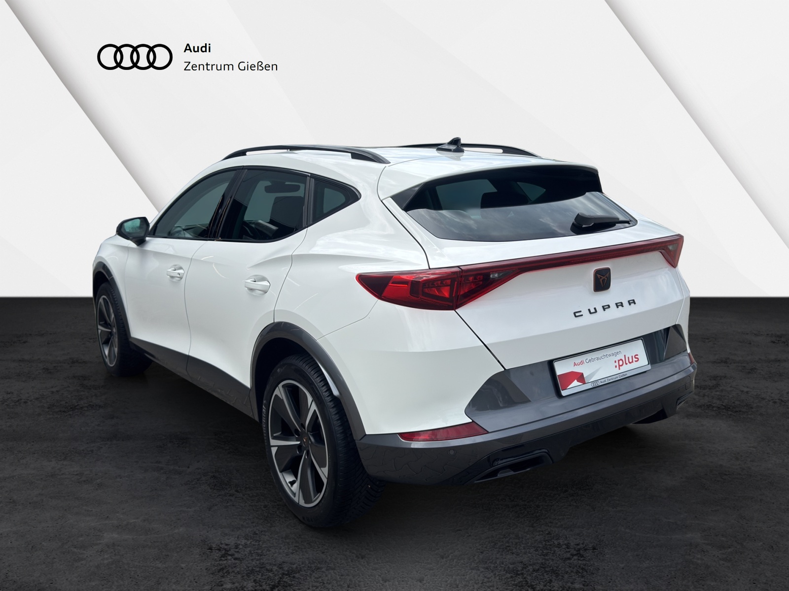 Formentor 1.5 TSI ACC Navi AHK LED