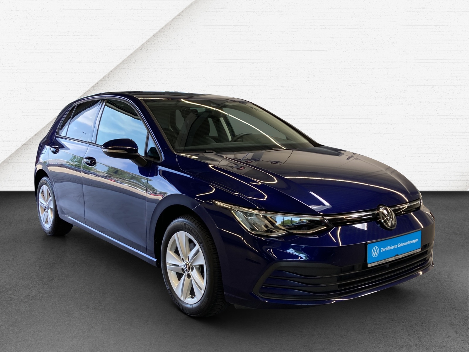 Golf VIII 2.0 TDI DSG Life LED TravelAssist Navi Rückkamera