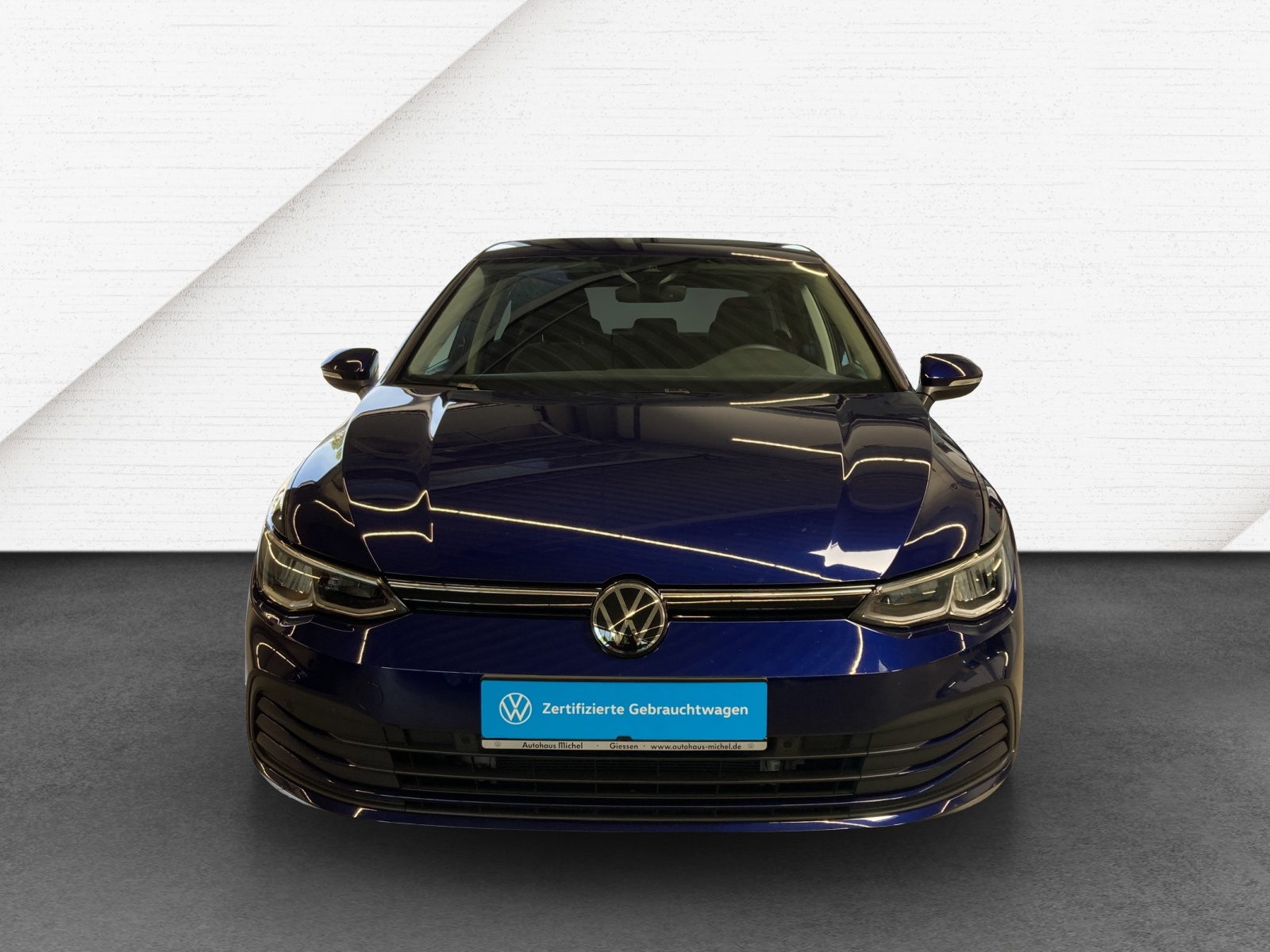 Golf VIII 2.0 TDI DSG Life LED TravelAssist Navi Rückkamera