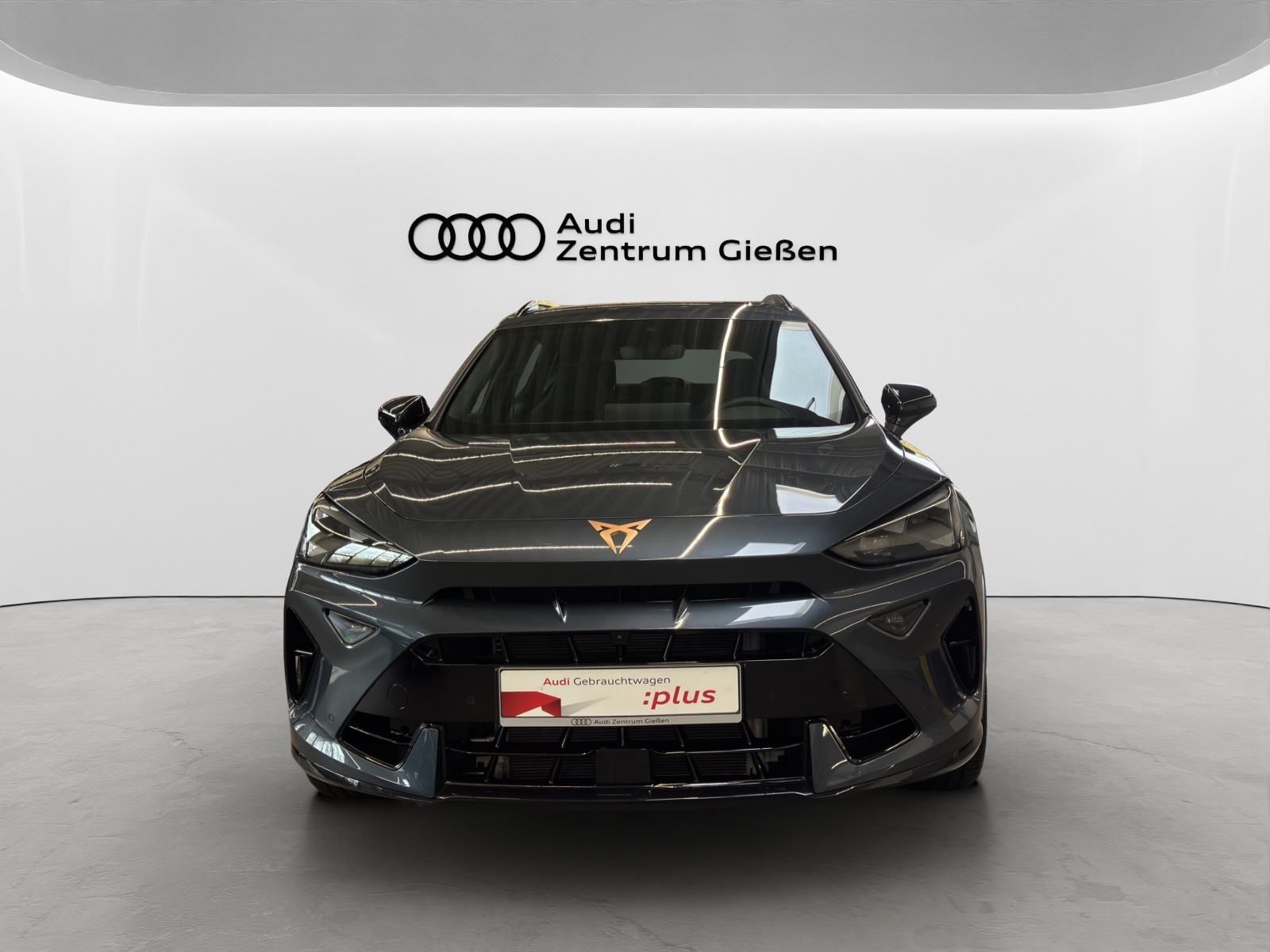 Formentor 2.0 TSI 4Drive DSG VZ AHK Pano Matrix-LED Navi