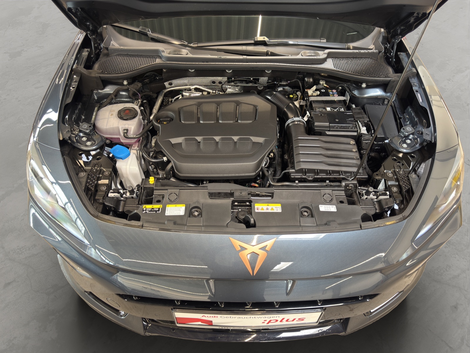 Formentor 2.0 TSI 4Drive DSG VZ AHK Pano Matrix-LED Navi