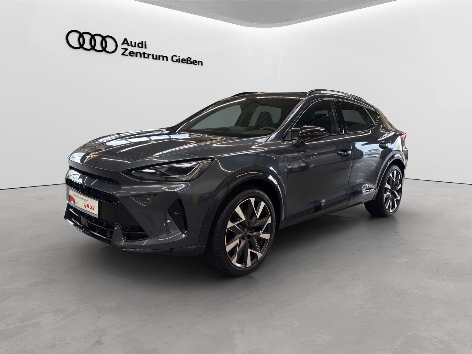 Formentor 2.0 TSI 4Drive DSG VZ AHK Pano Matrix-LED Navi