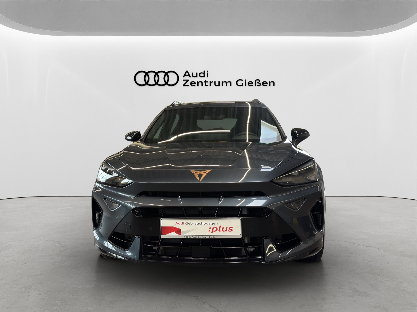 Formentor 2.0 TSI 4Drive DSG VZ AHK Pano Matrix-LED