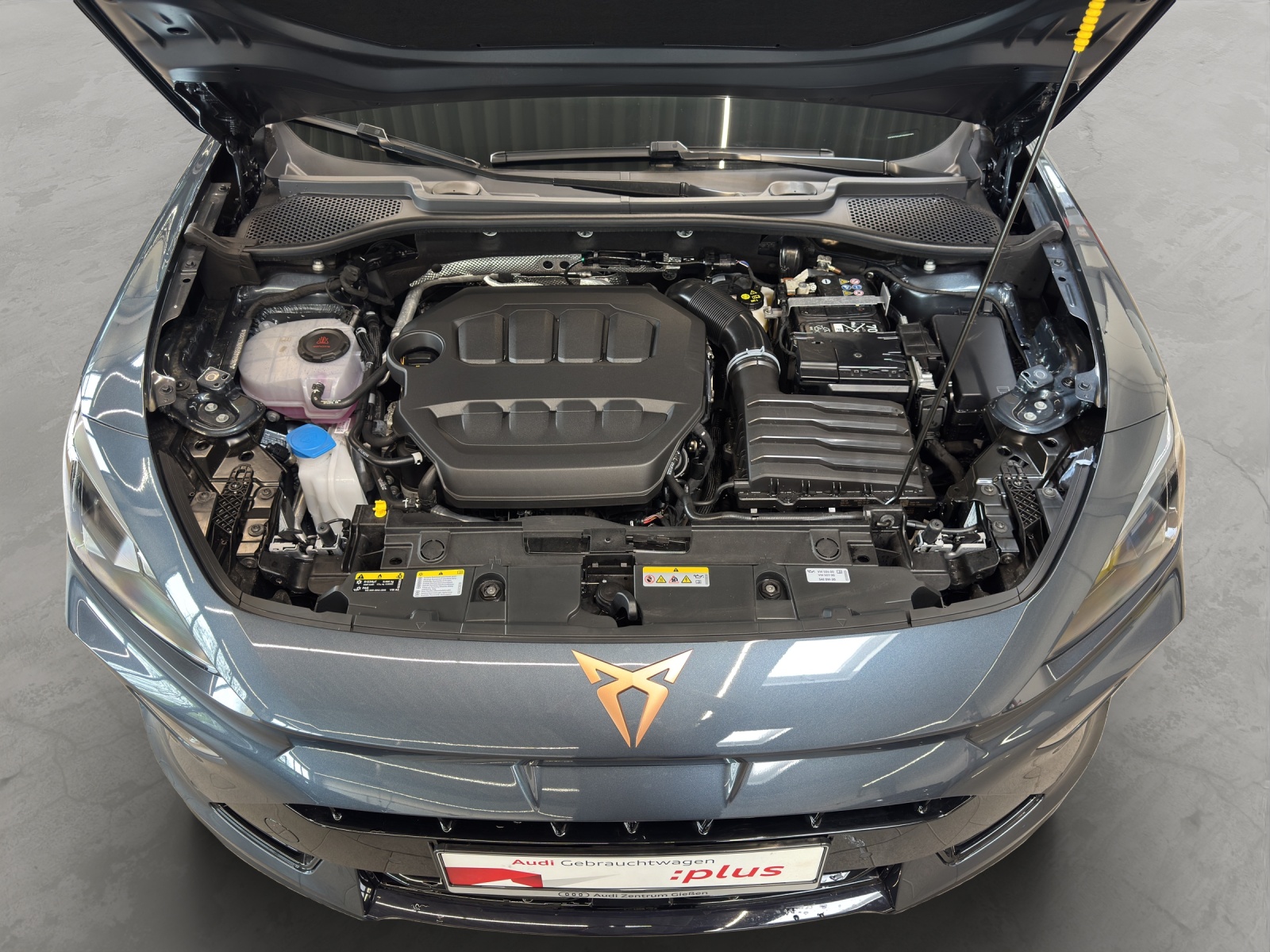 Formentor 2.0 TSI 4Drive DSG VZ AHK Pano Matrix-LED