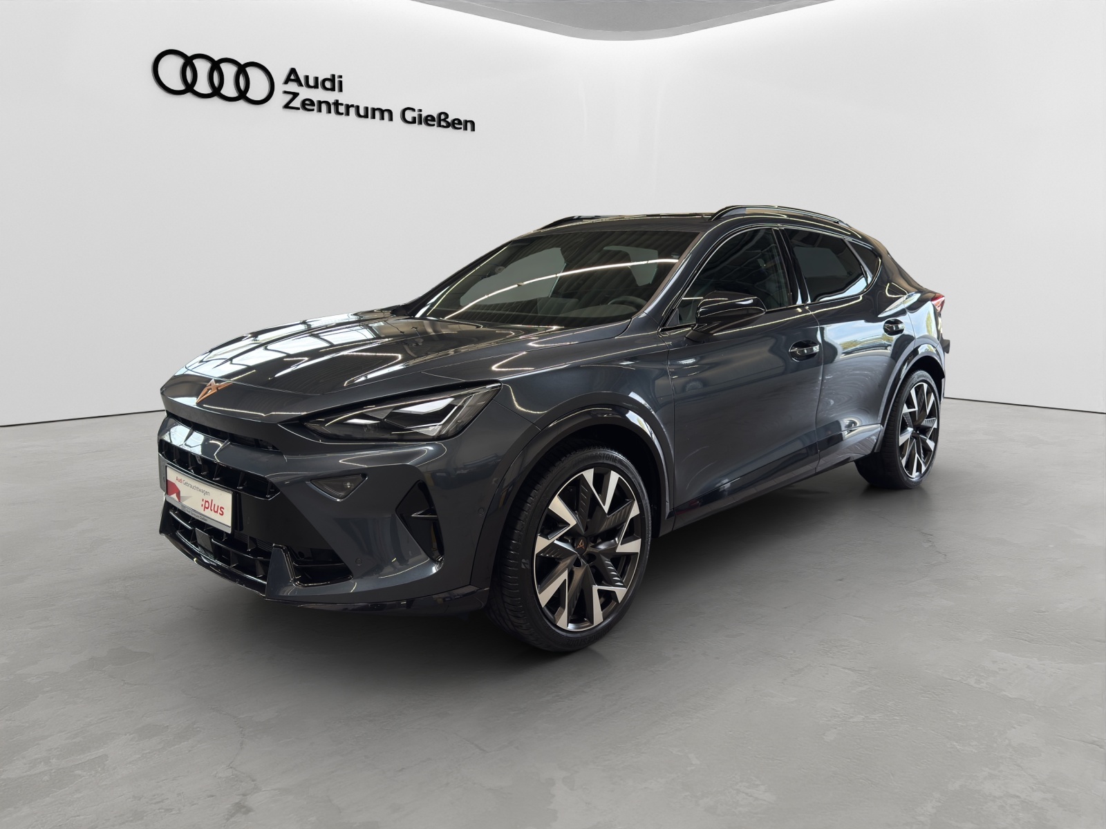 Formentor 2.0 TSI 4Drive DSG VZ AHK Pano Matrix-LED