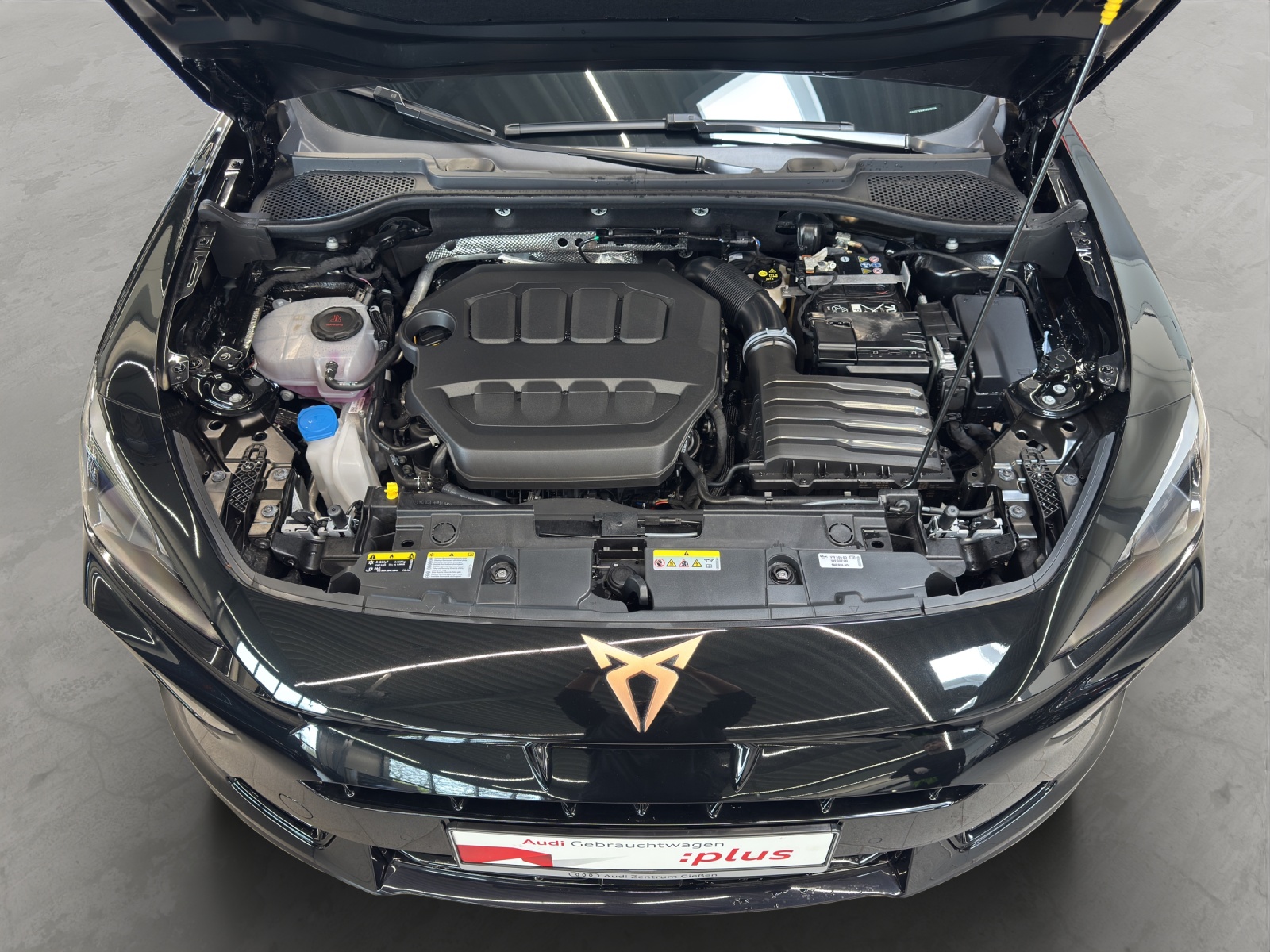 Formentor 2.0 TSI 4Drive DSG VZ AHK Pano Matrix-LED Navi