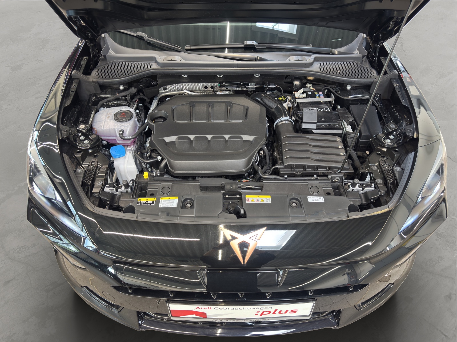 Formentor 2.0 TSI 4Drive DSG VZ AHK Pano Matrix-LED Navi