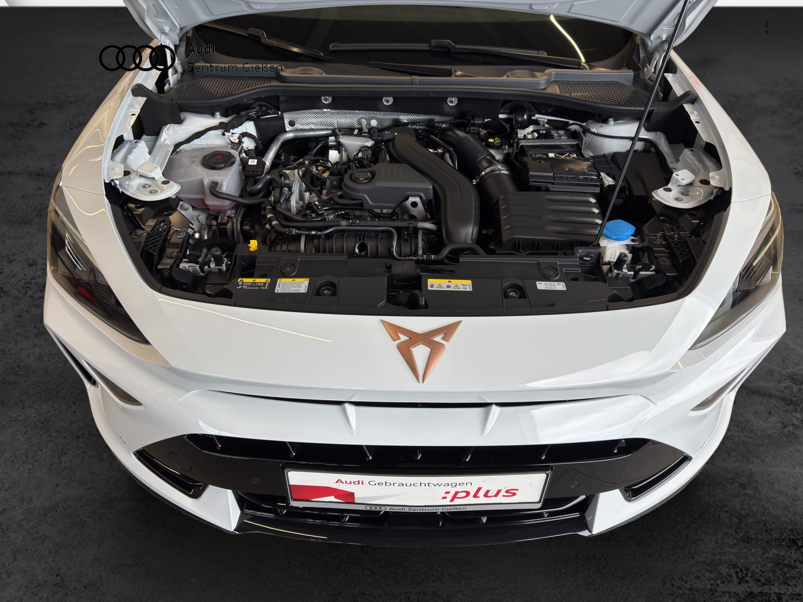 Formentor 1.5 eTSI DSG EDGE ACC LED Kamera Lenkradheizung