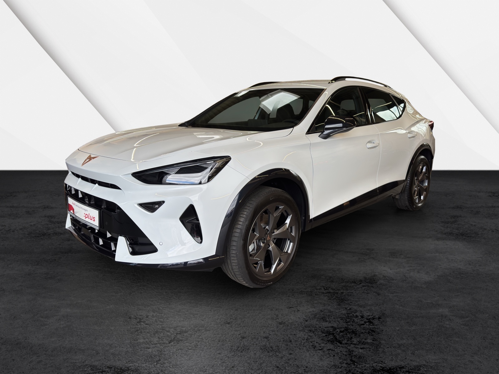 Formentor 1.5 eTSI DSG EDGE ACC LED Kamera Lenkradheizung