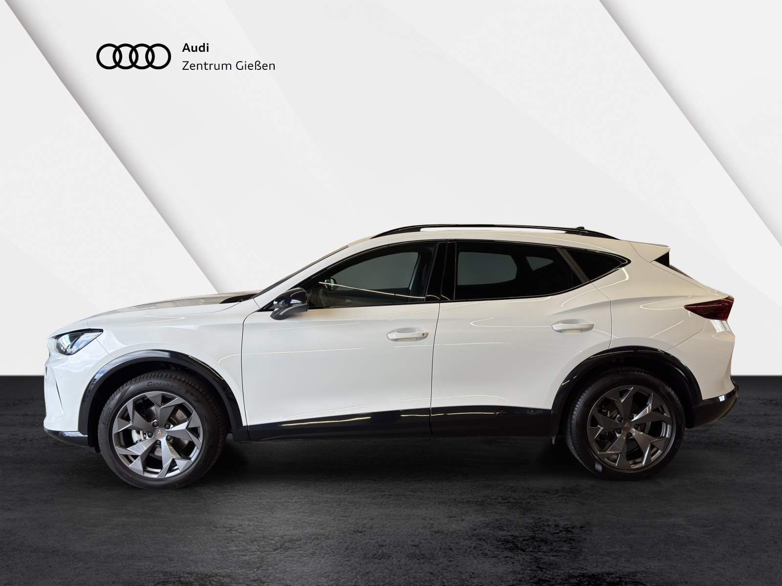 Formentor 1.5 eTSI DSG EDGE ACC LED Kamera Lenkradheizung