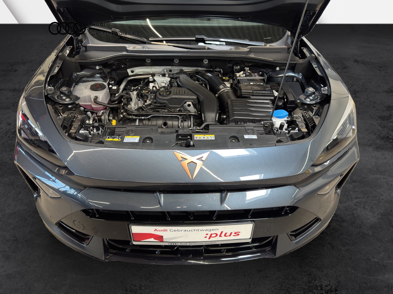 Formentor 1.5 eTSI DSG EDGE ACC LED Kamera Lenkradheizung