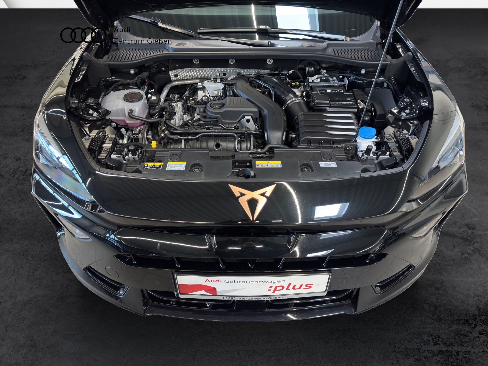 Formentor 1.5 eTSI DSG EDGE ACC LED Kamera Lenkradheizung