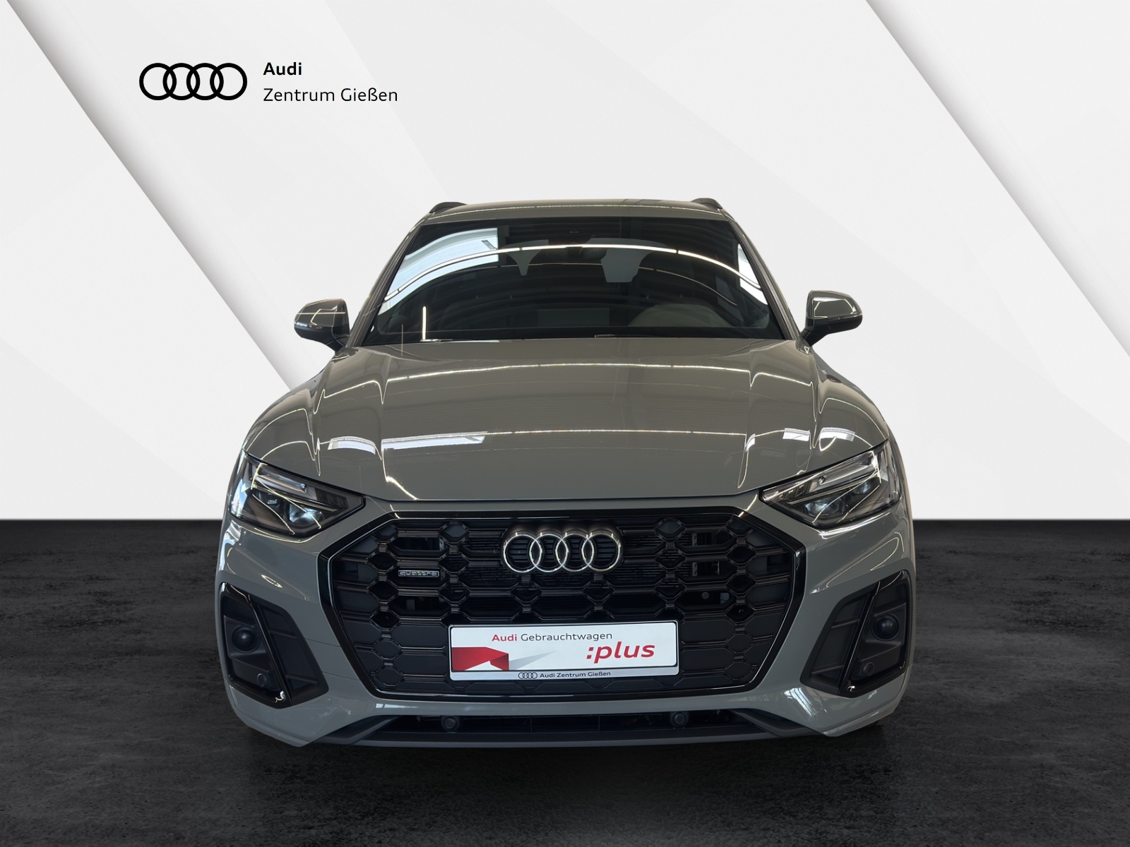 Q5 50 TFSI e quattro S line black Navi Plus