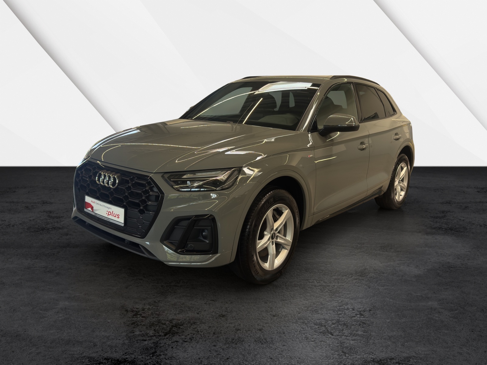 Q5 50 TFSI e quattro S line black Navi Plus