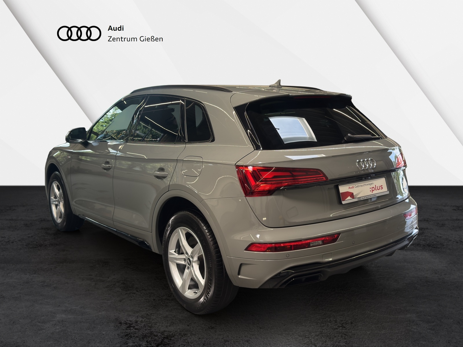 Q5 50 TFSI e quattro S line black Navi Plus