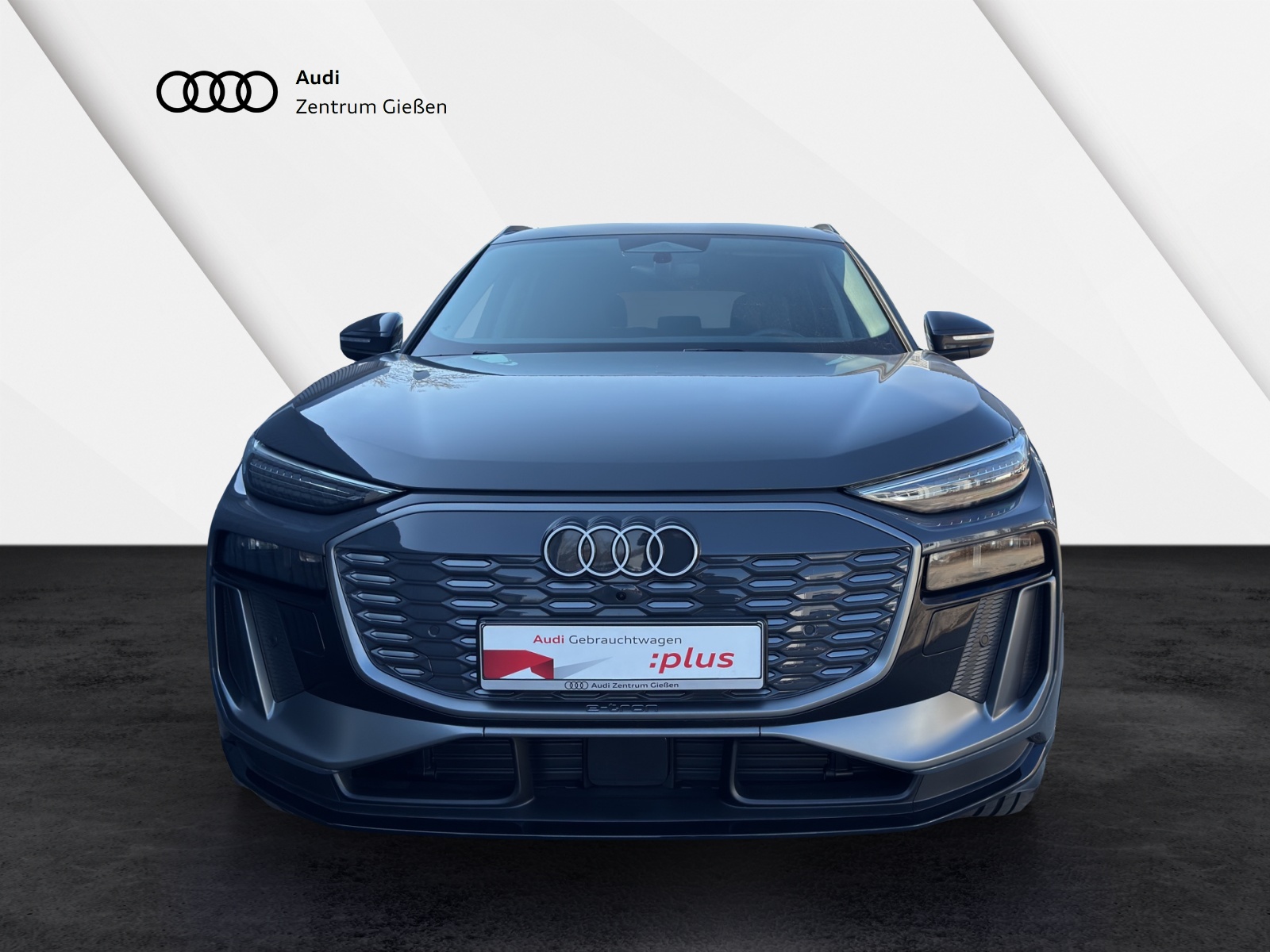 Q6 e-tron S line Navi Assistenzpakete