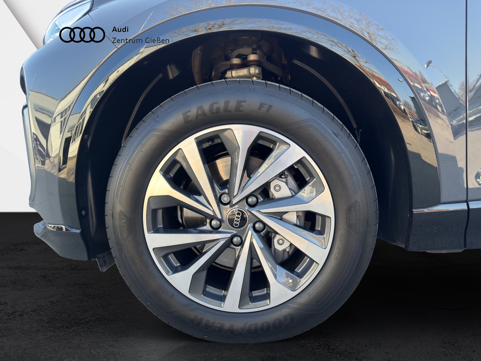 Q6 e-tron S line Navi Assistenzpakete