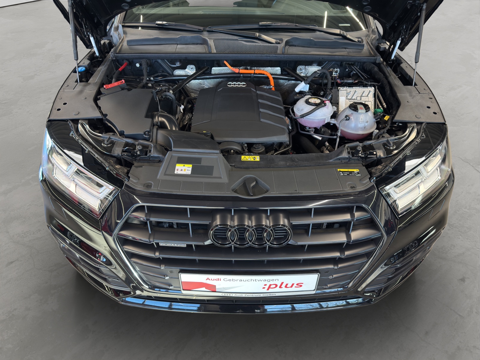 Q5 50 TFSI e quattro S line Black AHK Pano Assistenzpaket