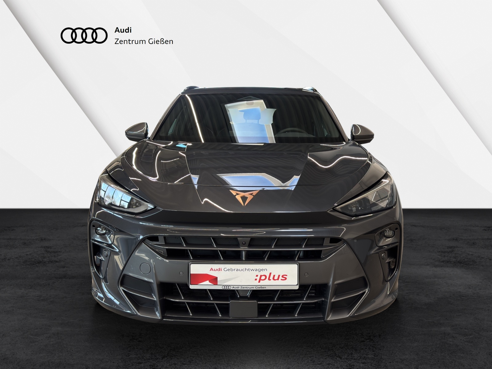 Terramar 2.0 TSI 4Drive VZ HuD Pano AHK Sennheiser Matrix-LED