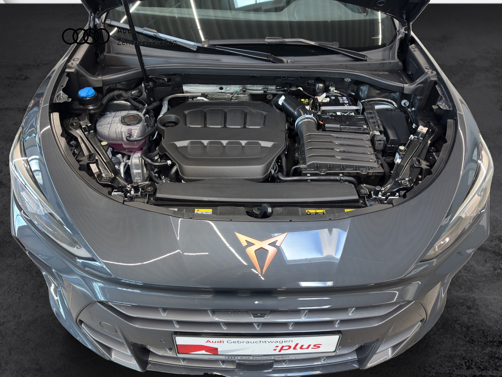 Terramar 2.0 TSI 4Drive VZ HuD Pano AHK Sennheiser Matrix-LED