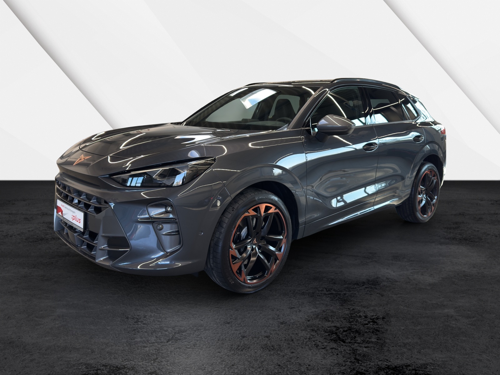 Terramar 2.0 TSI 4Drive VZ HuD Pano AHK Sennheiser Matrix-LED